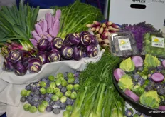 Purple trendy display at the Babe Farms booth.